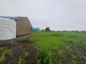 whatsapp image 2025 11 03 at 21.45.58 6f629777